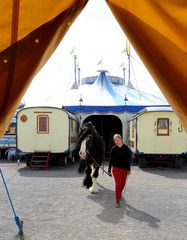 Zurück ins Stallzelt