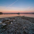 Zurück ins Wasser