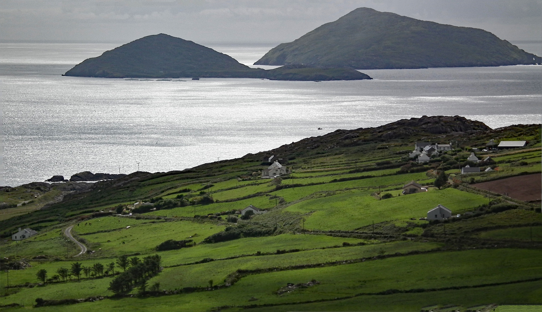 Zurück nach Irland