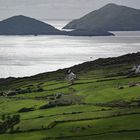 Zurück nach Irland