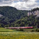 Zurück nach Ulm