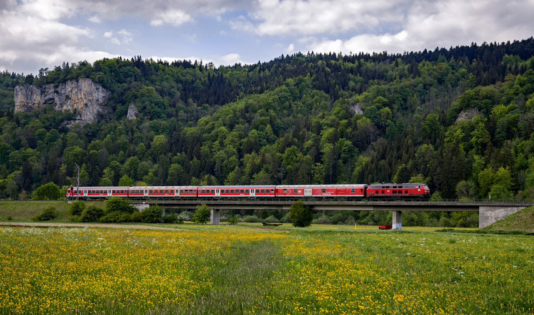 Zurück nach Ulm