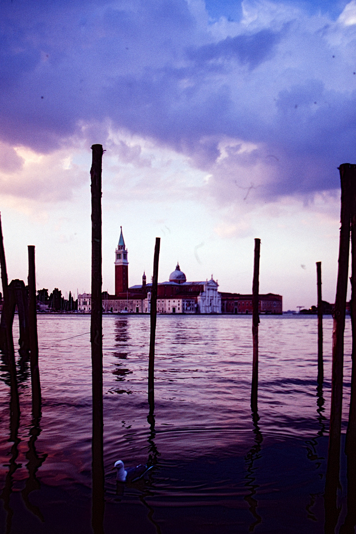 ... zurück nach Venedig ...