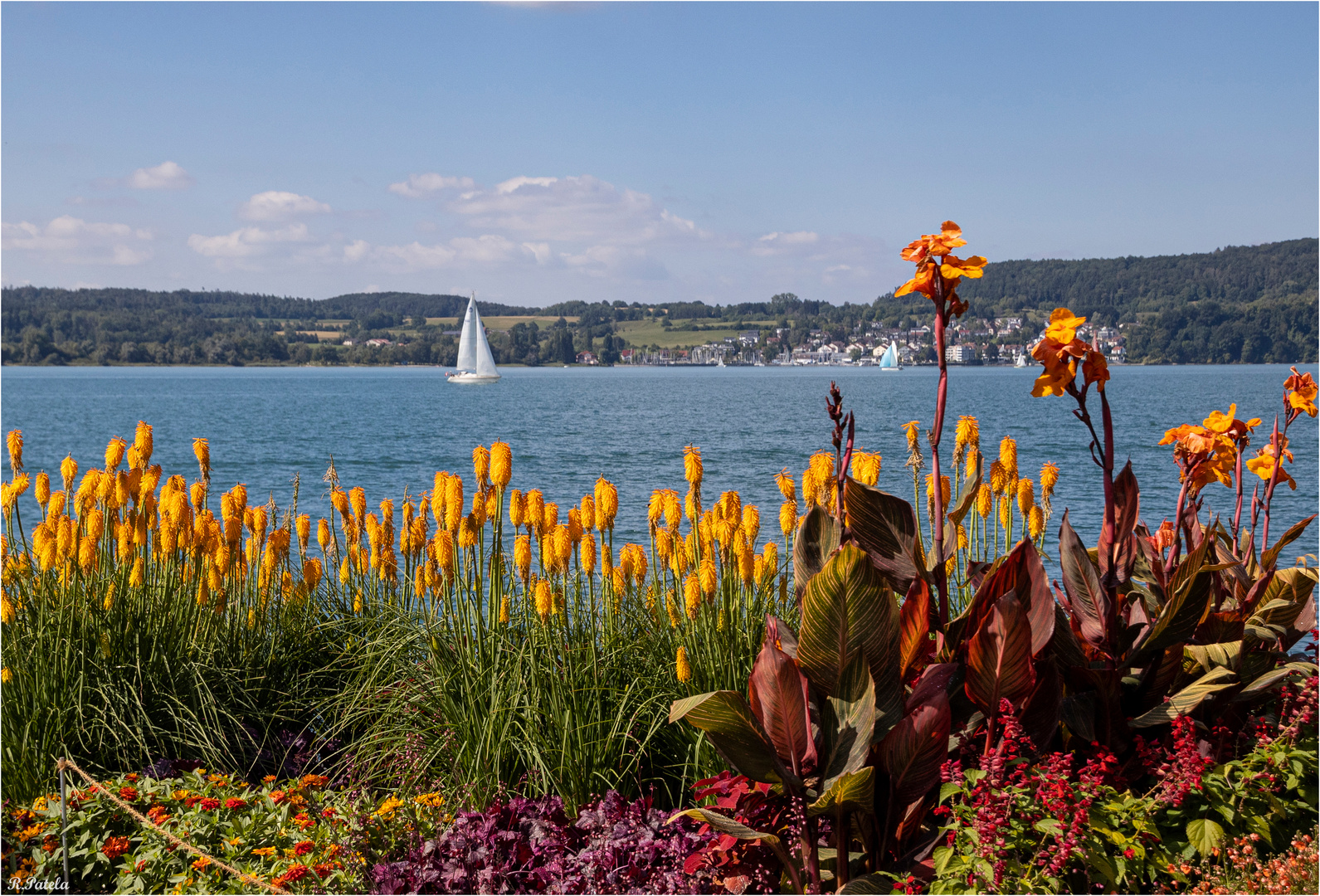 Zurück vom Bodensee