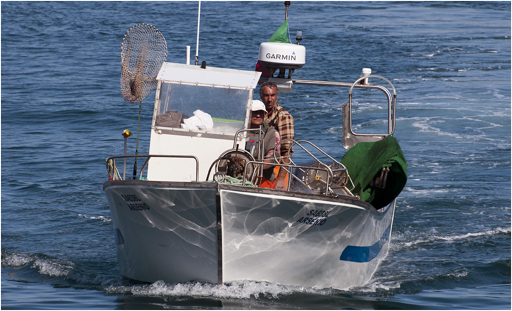 zurück vom Fischfang