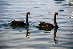 zurück vom Insel Trip