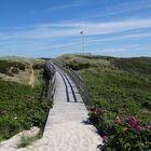 zurück vom Strand ...