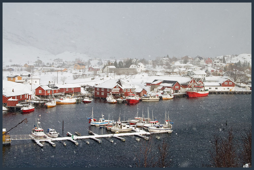 Zurück von den Lofoten