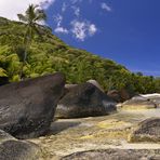 Zurück von den Seychellen 