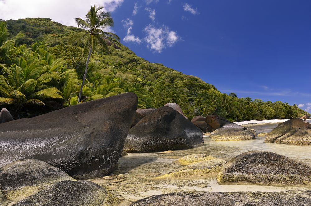 Zurück von den Seychellen 