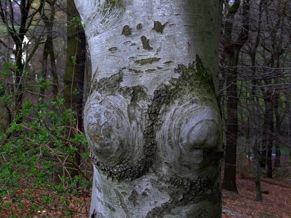 zurück zum Busen der Natur...