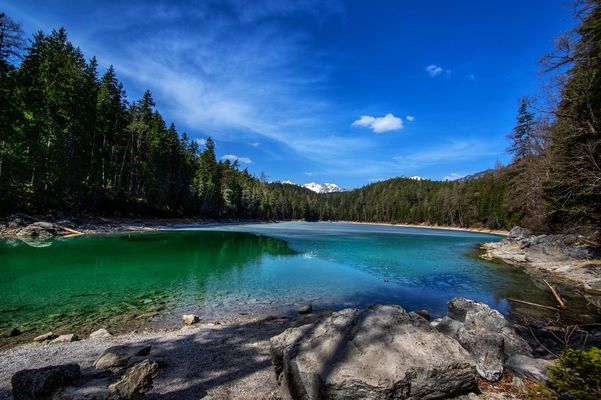 ... zurück zum Eibsee...