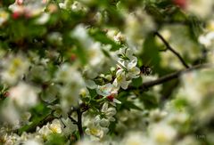 Zurück zum Frühling