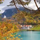 Zurück zum Herbst