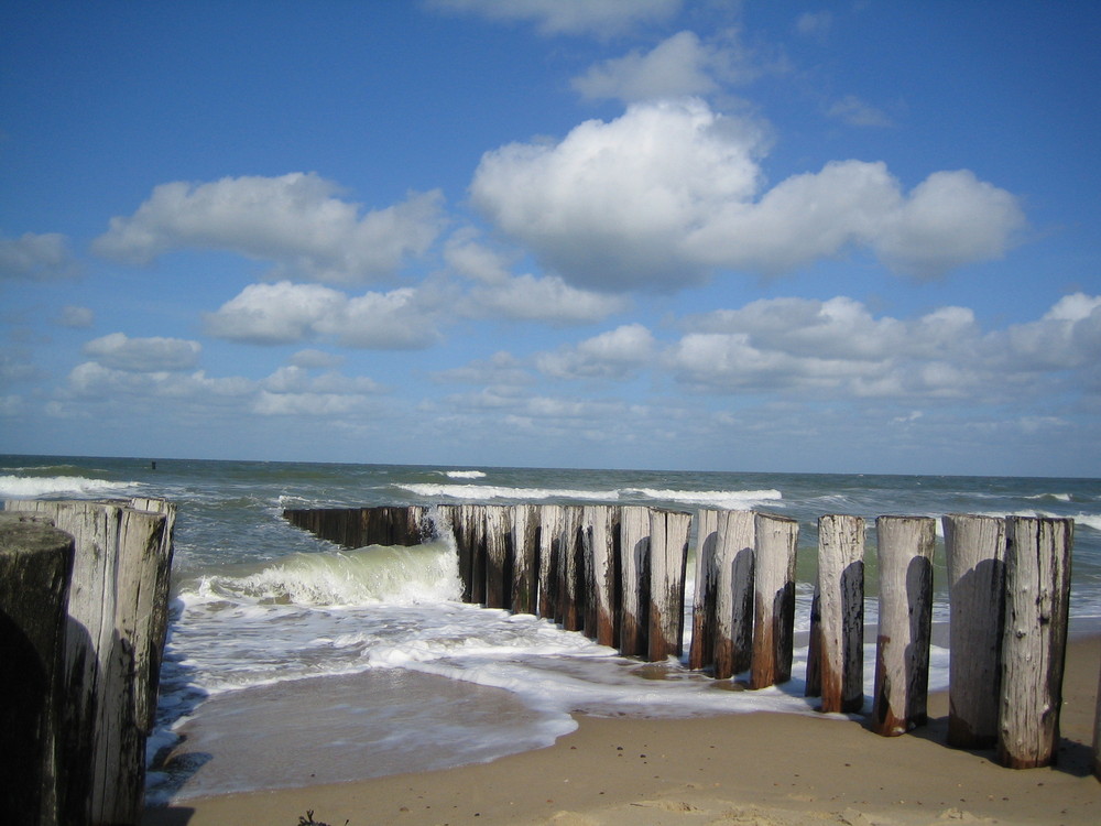 zurück zum Meer