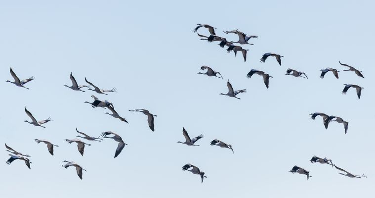 Zurück zum Schlafplatz