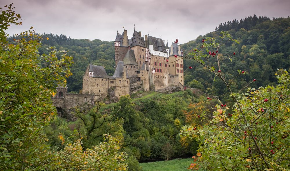 Zurück zur Burg Eltz