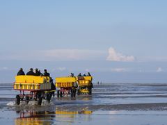 zurück zur Insel