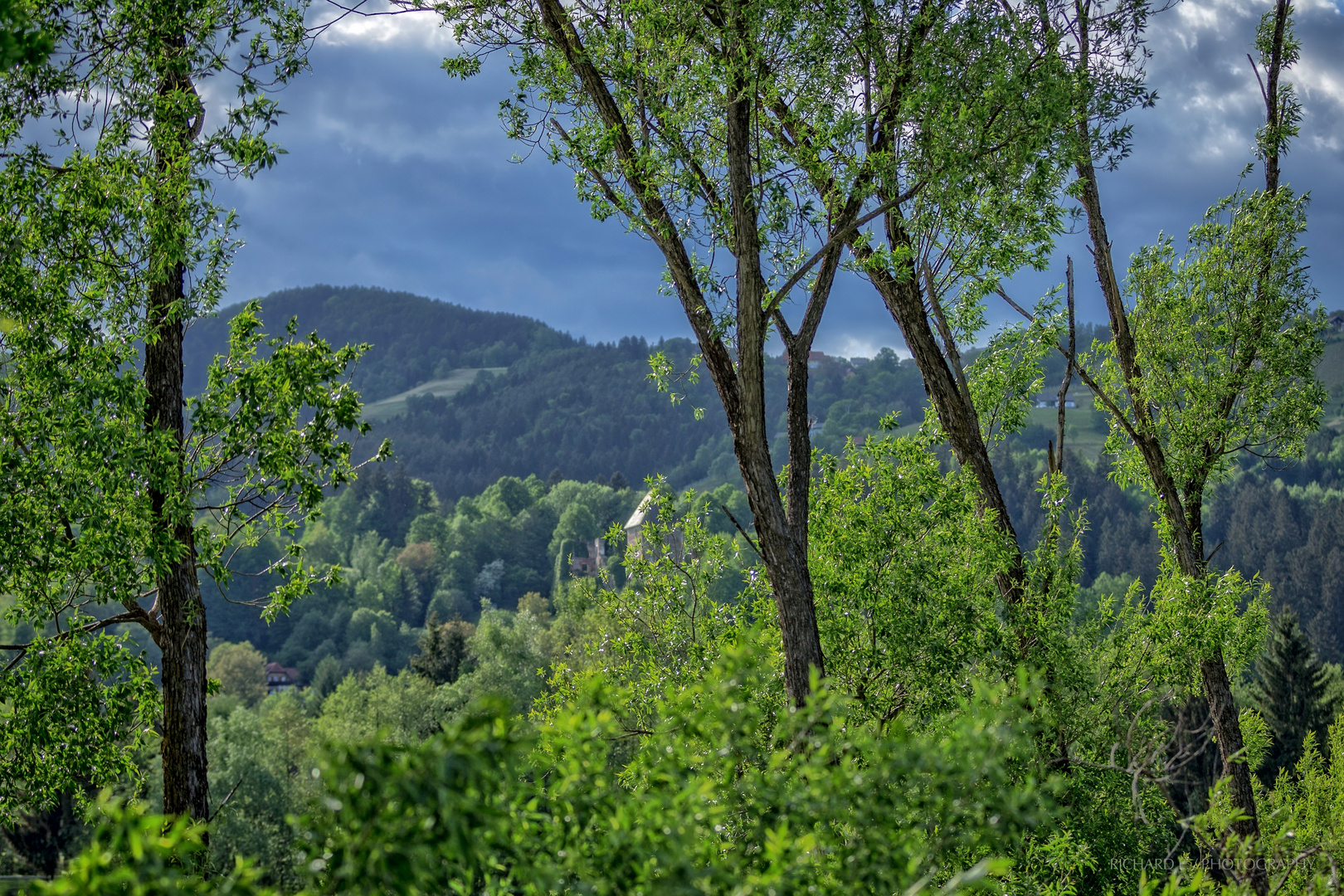 Zurück zur Natur