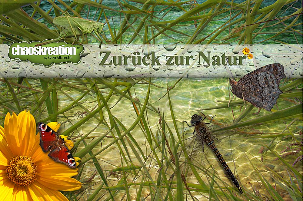 ZURÜCK ZUR NATUR