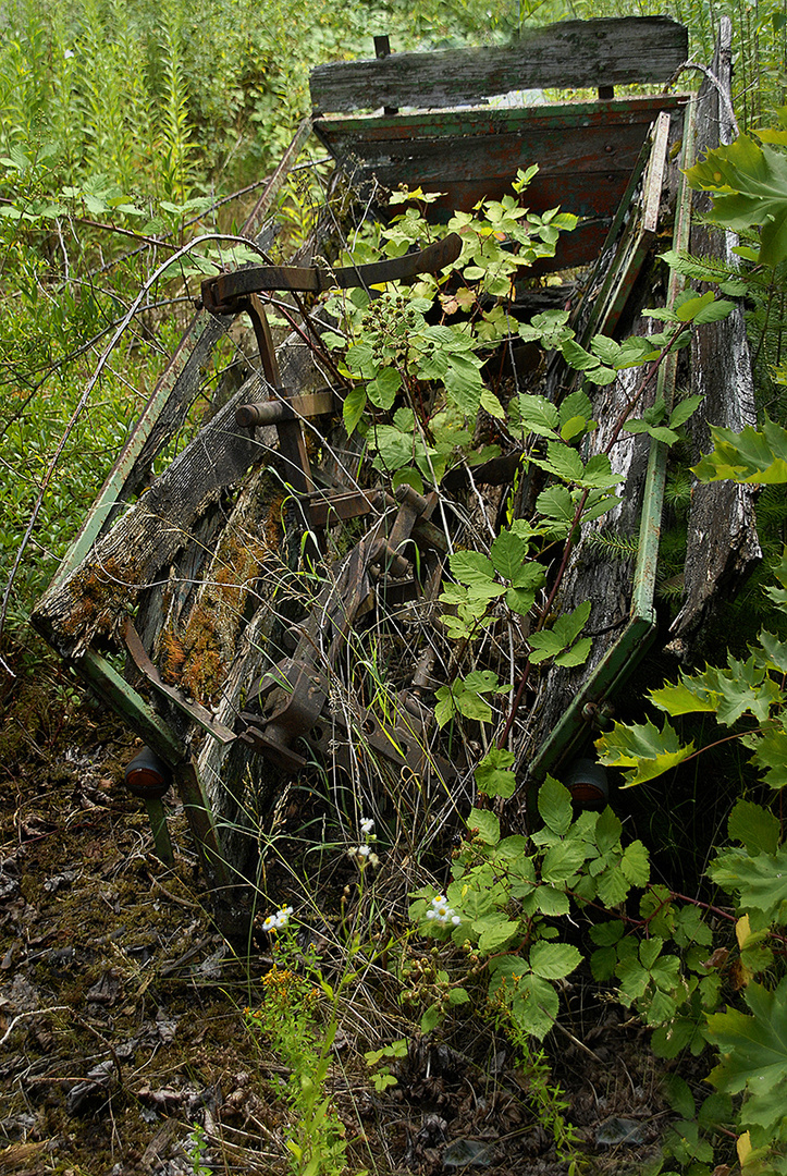 Zurueck zur Natur 