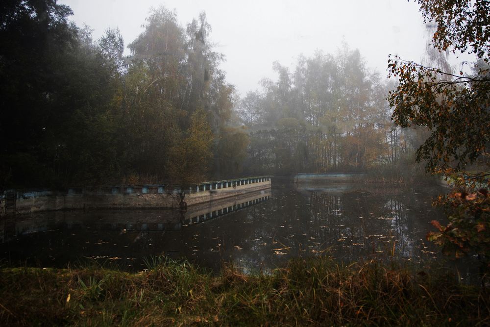 Zurück zur Natur . . .  Bild I