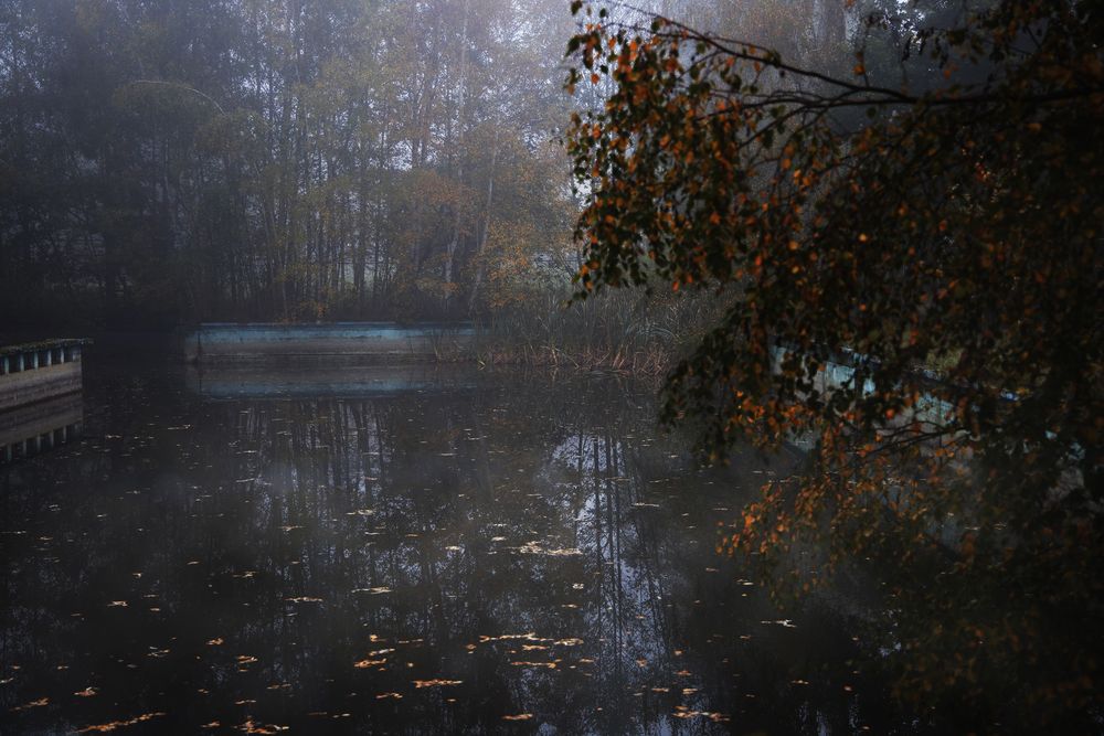 Zurück zur Natur . . . Bild II