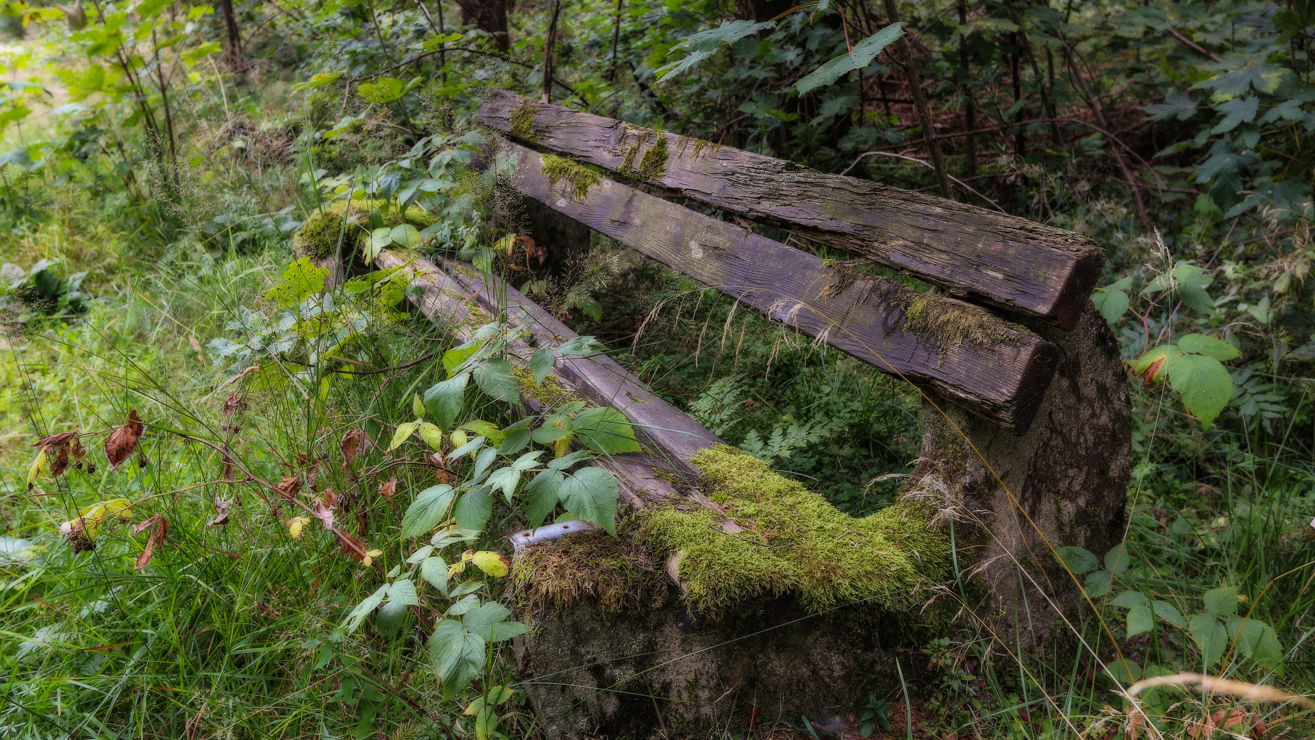 zurück zur Natur...