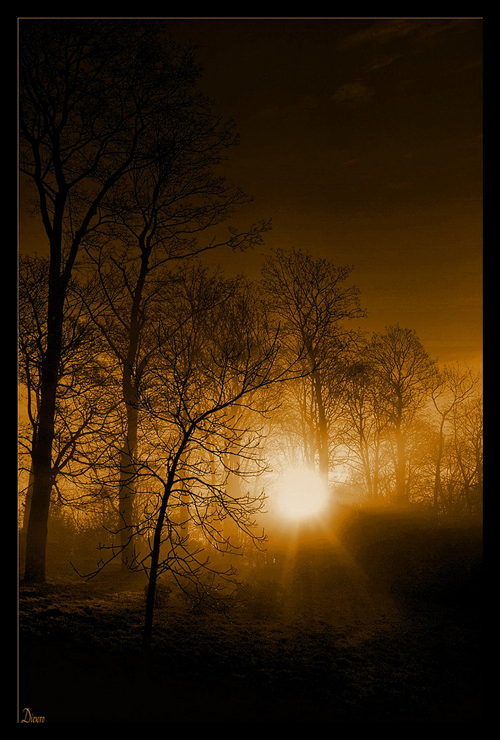 Zurück zur Natur - Sonnenaufgang