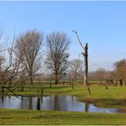 Zurückweichendes Hochwasser 3..