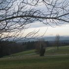 Zurwieser Idylle am 2. Weihnachtstag