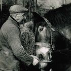 Zusammen alt geworden