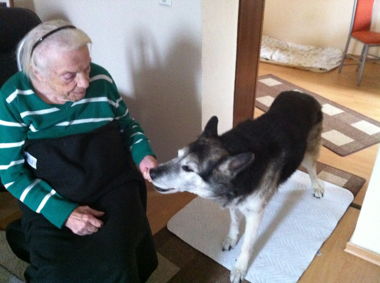 Zusammen alt geworden mit Oma (88 Jahre)