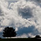 Zusammen gegen den Sturm