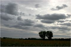 Zusammen gegen den Wind..