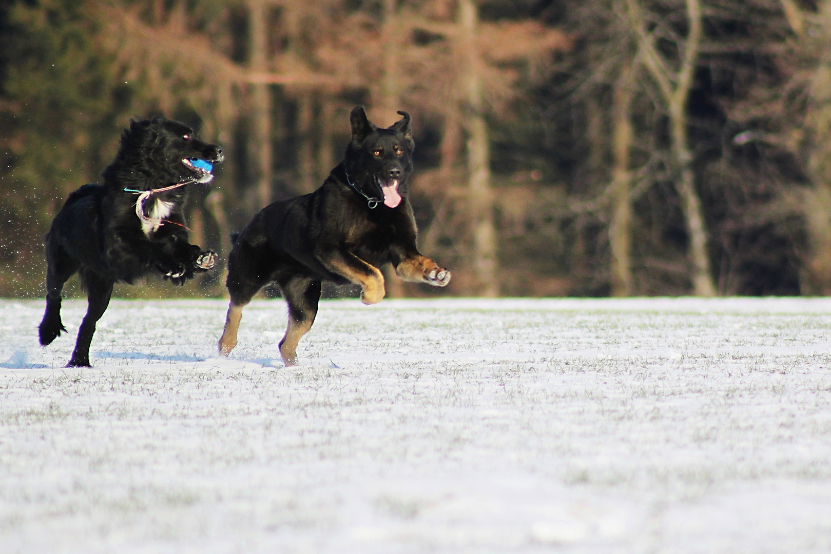 Zusammen im Schnee