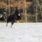 Zusammen im Schnee