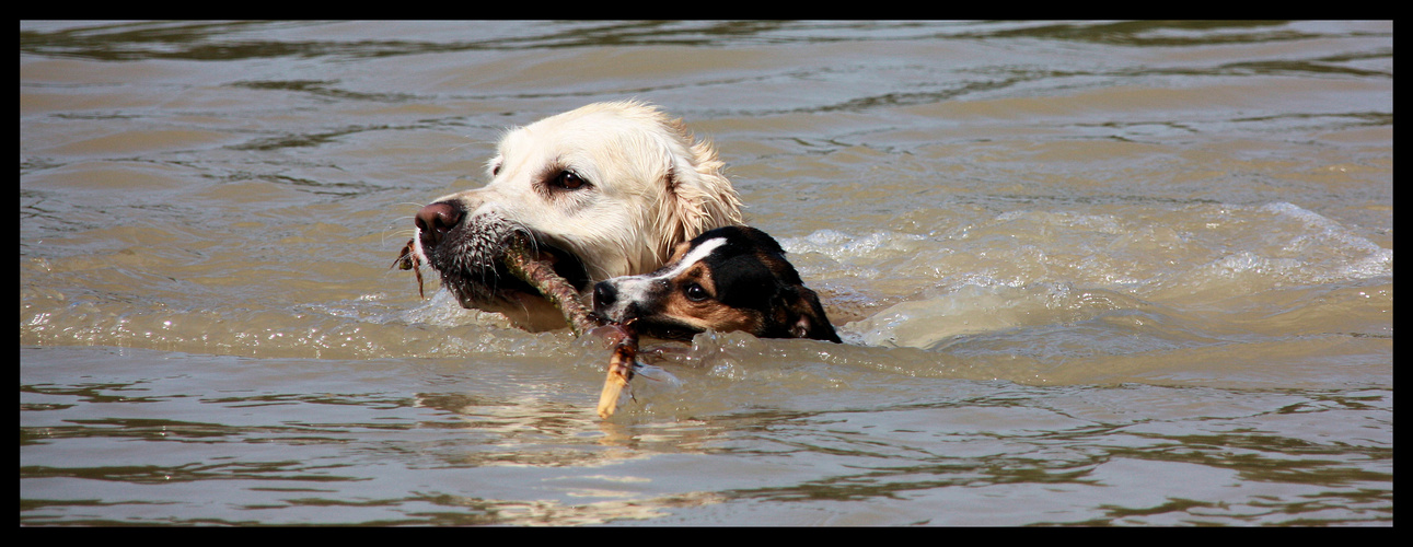 Zusammen schaffen wir alles :-)