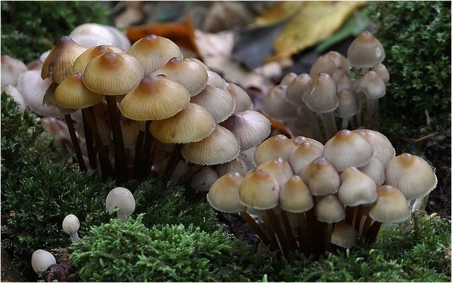 Zusammen sind wir stark