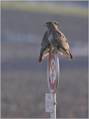 Zusammen sind wir stark