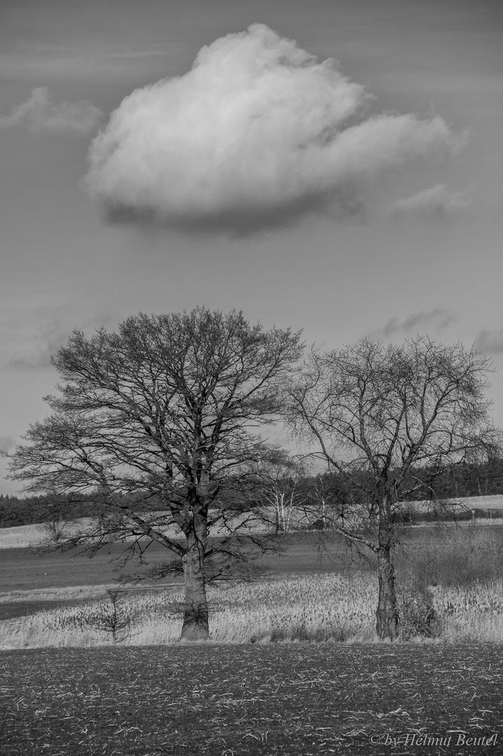 Zusammen unter einer Wolke