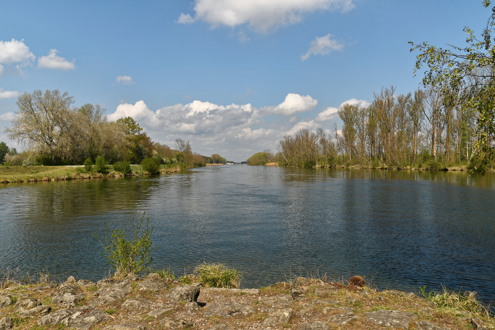 Zusammenfluss von Lech & Lechkanal bei Ostendorf