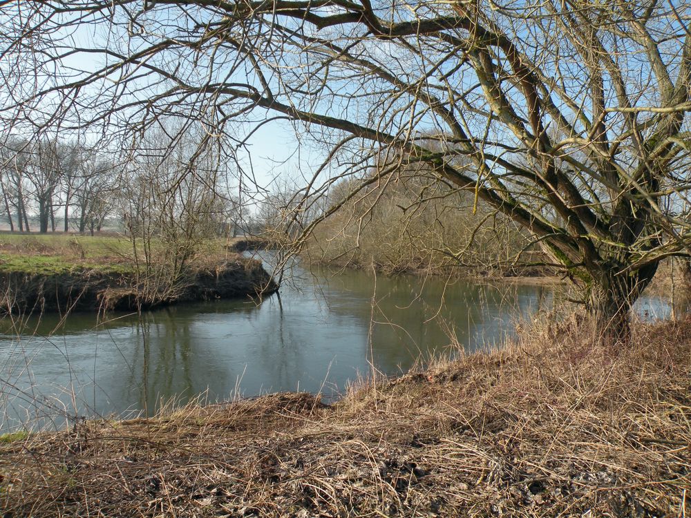 Zusammenfluß von Rhume und Leine zwischen Northeim und Hollensted .