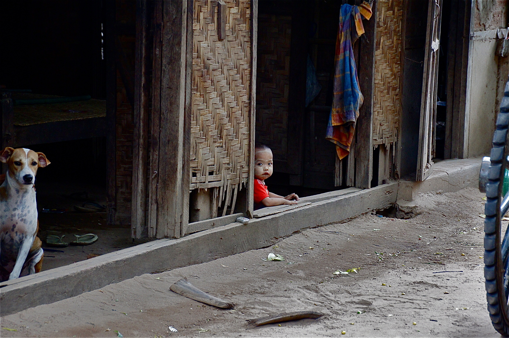 zusammenleben am hof, dorf bei bagan, burma 2011
