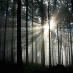 Zusammenspiel von Sonne und Nebel 2