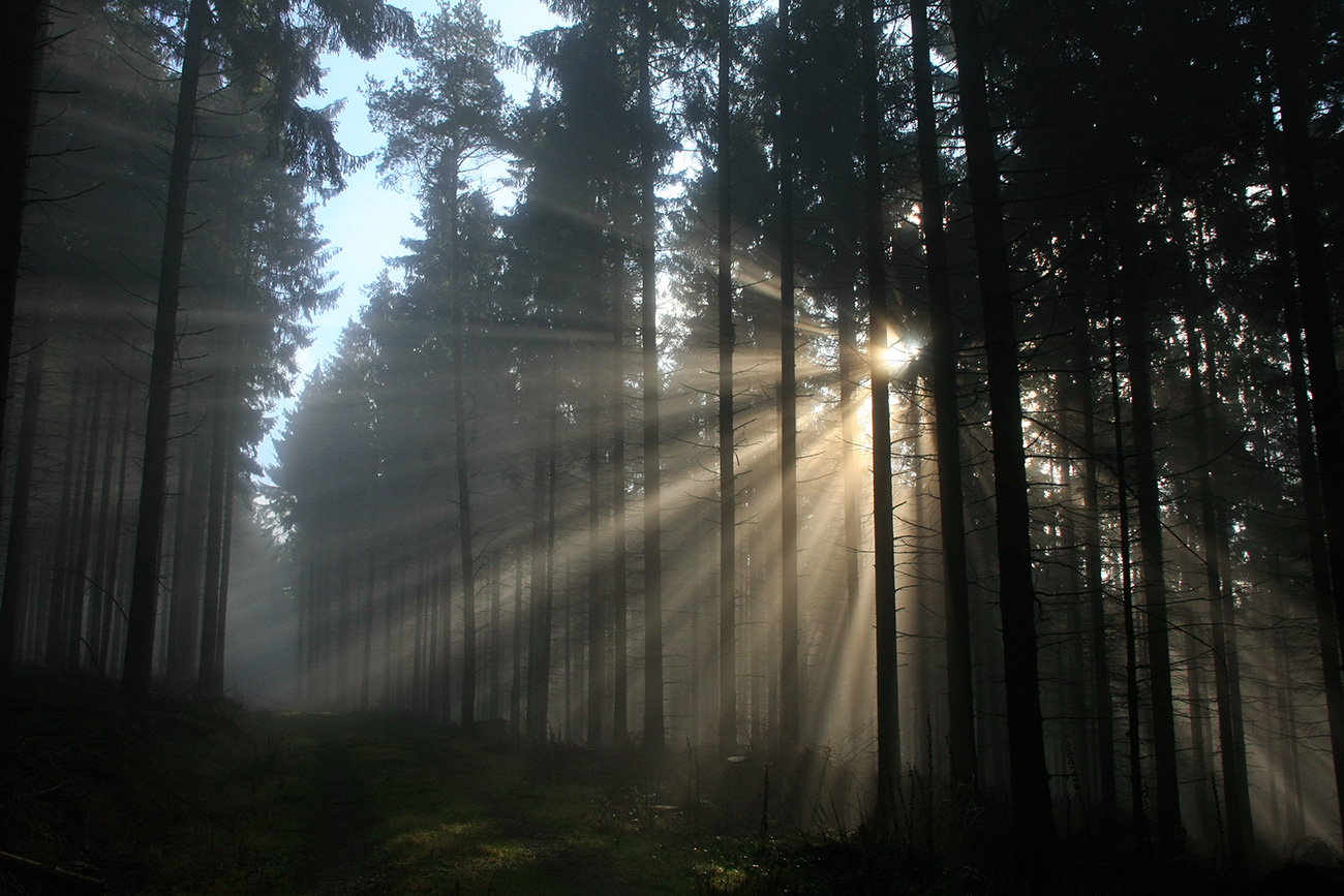 Zusammenspiel von Sonne und Nebel 3