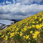 Zusammentreffen von Frühling und Winter