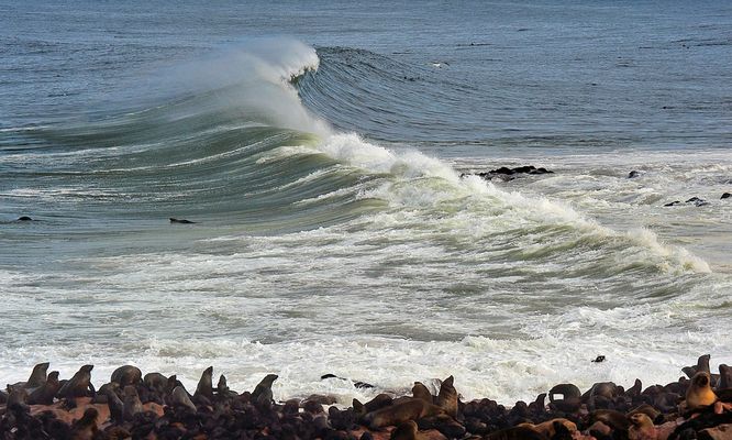 Zuschauer - Spectators