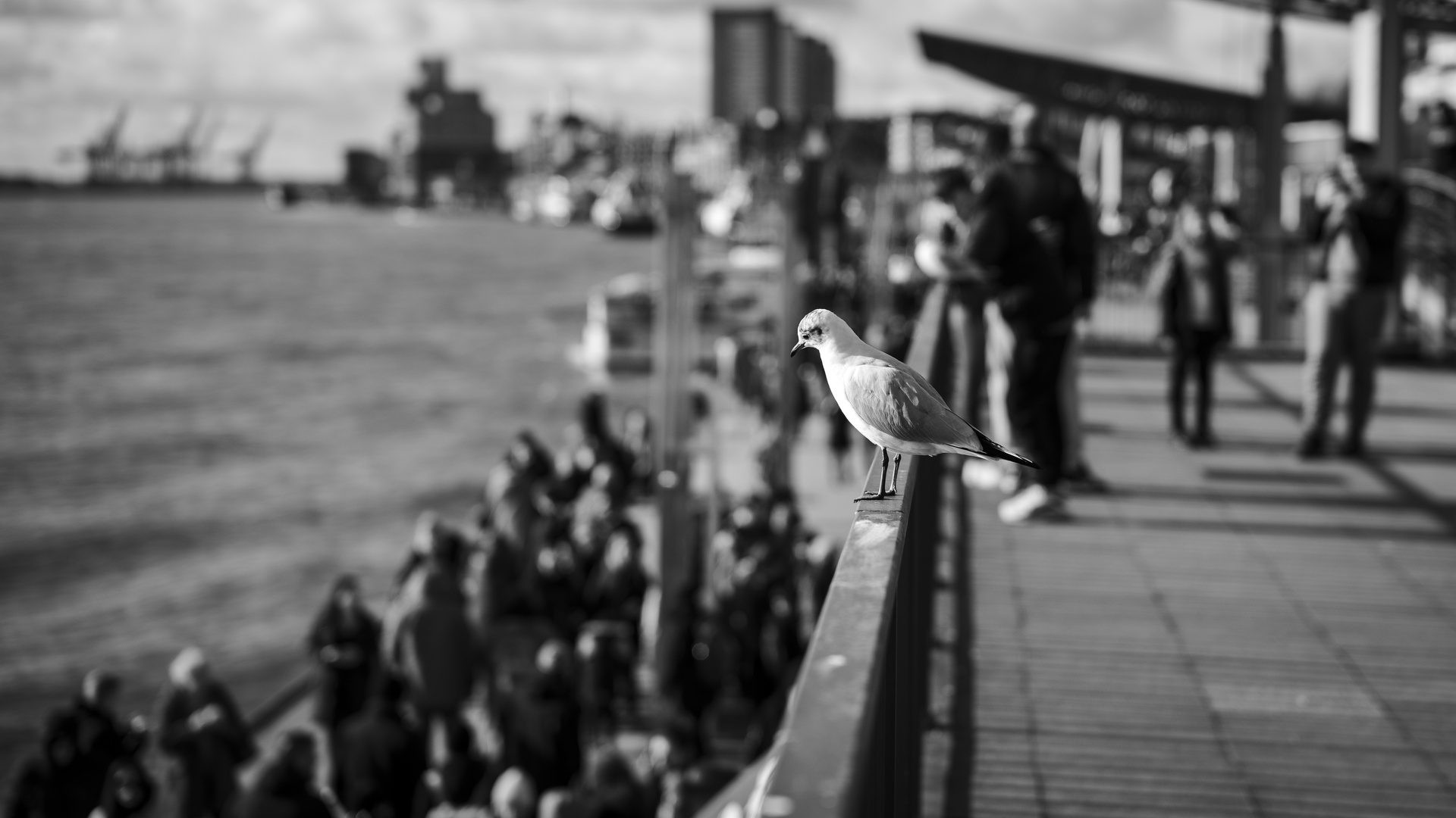 Zuschauer:in Foto &amp; Bild | spezial, hamburg, hafen Bilder auf fotocommunity
