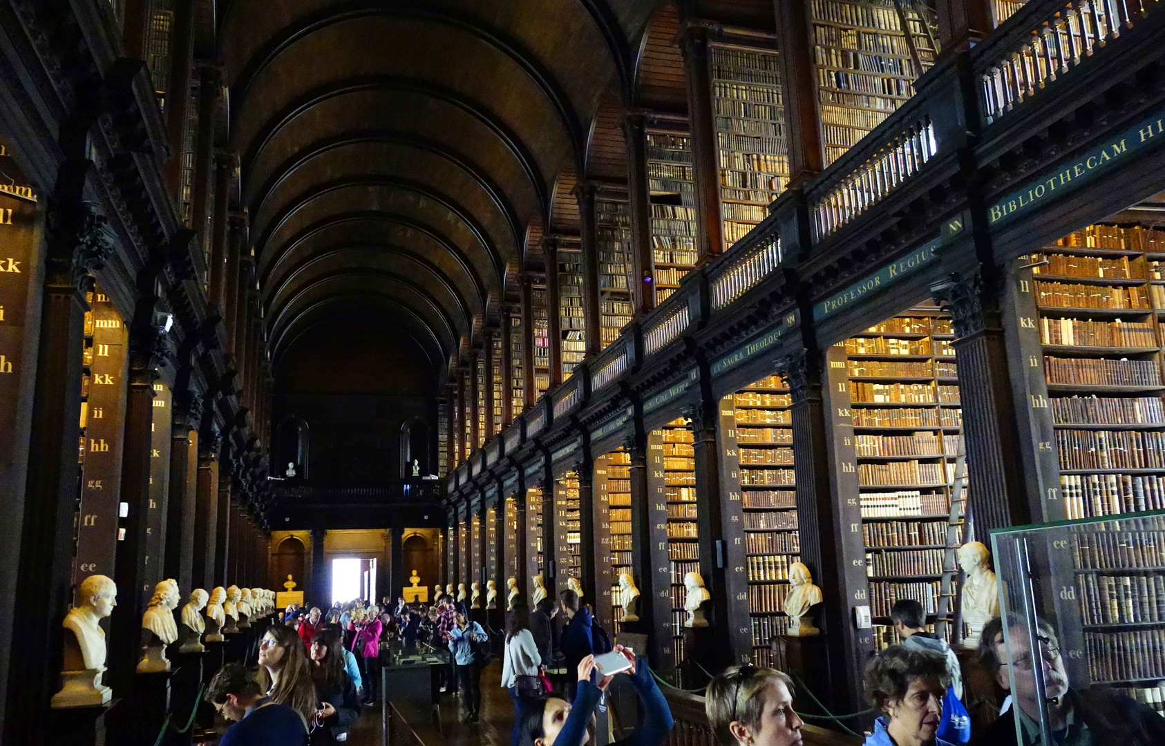 zutiefst beeindruckende Bibliothek an Schule in Dublin